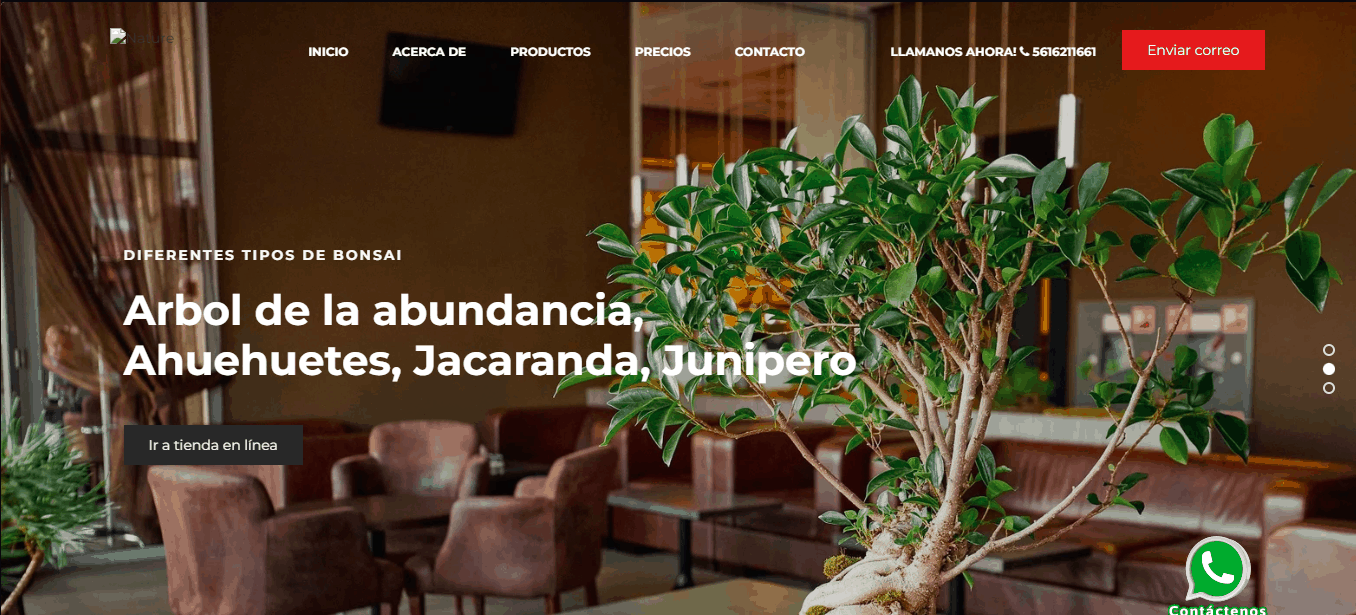 Proyectos