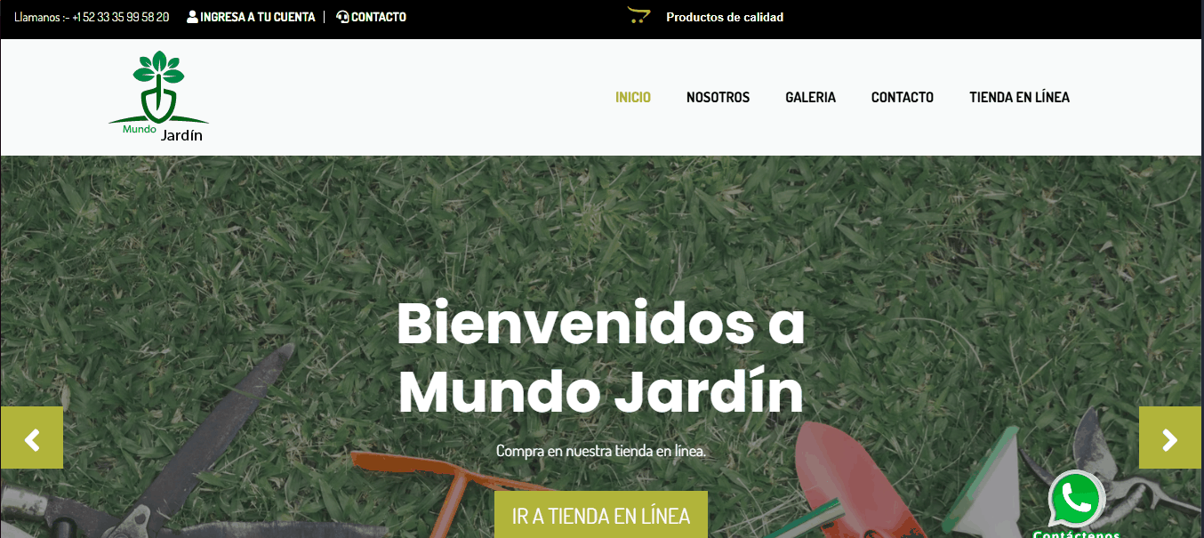 Proyectos