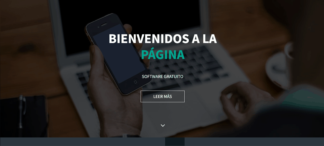 Proyectos